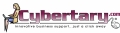 Cybertary Area Development