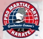 Pro Martial Arts